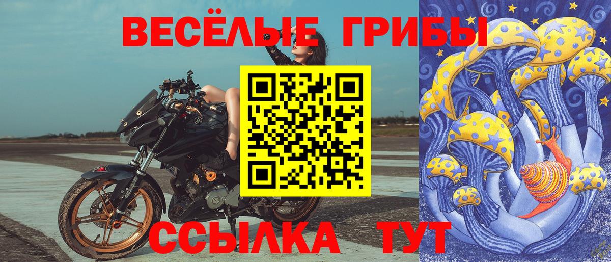 Галлюциногенные грибы Magic Shrooms  Вход с VPN  Кизляр  Псилоцибиновые грибы GOLDEN TEACHER 